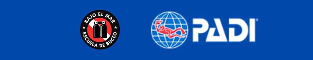 logos bajo el mar padi 1